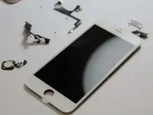iPhone 6 Teardown