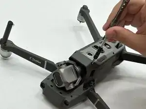 Front Arm (Left or Right)