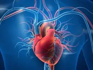 Cardiovascular Equipment